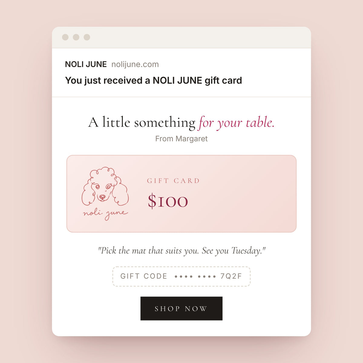 NOLI JUNE digital gift card email with a $100 gift card and coral poodle logo